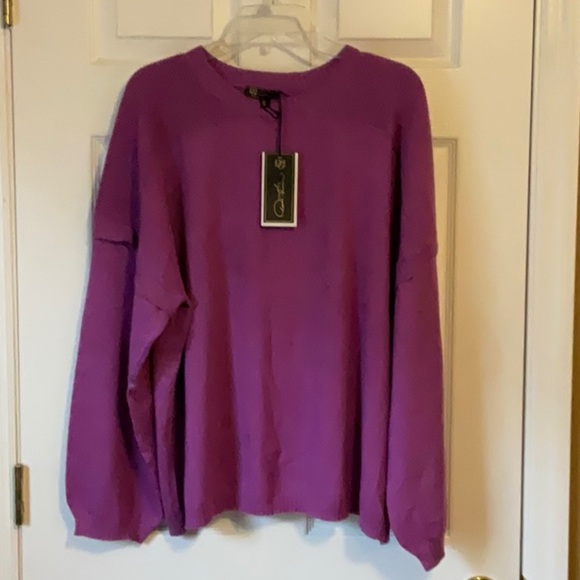 DG2 by Diane Gilman Women SoftEase Knit Ottoman Stitch Shoulder Sweater Size 2X - Picture 3 of 13